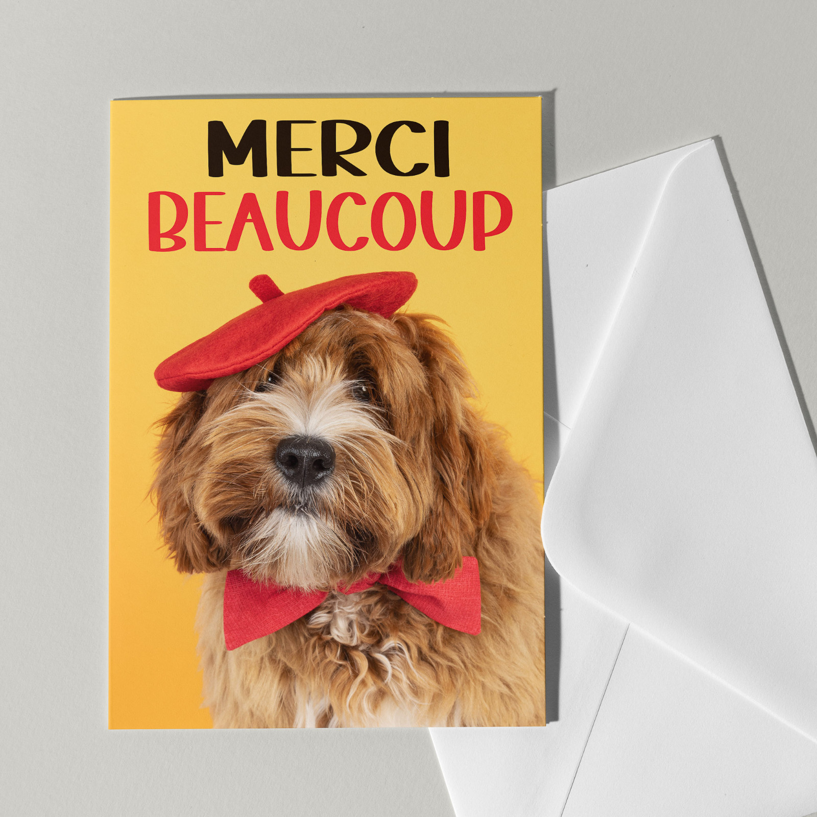 Set van 5 grote kaarten met honden - 67789.jpeg Set van 5 grote kaarten met honden