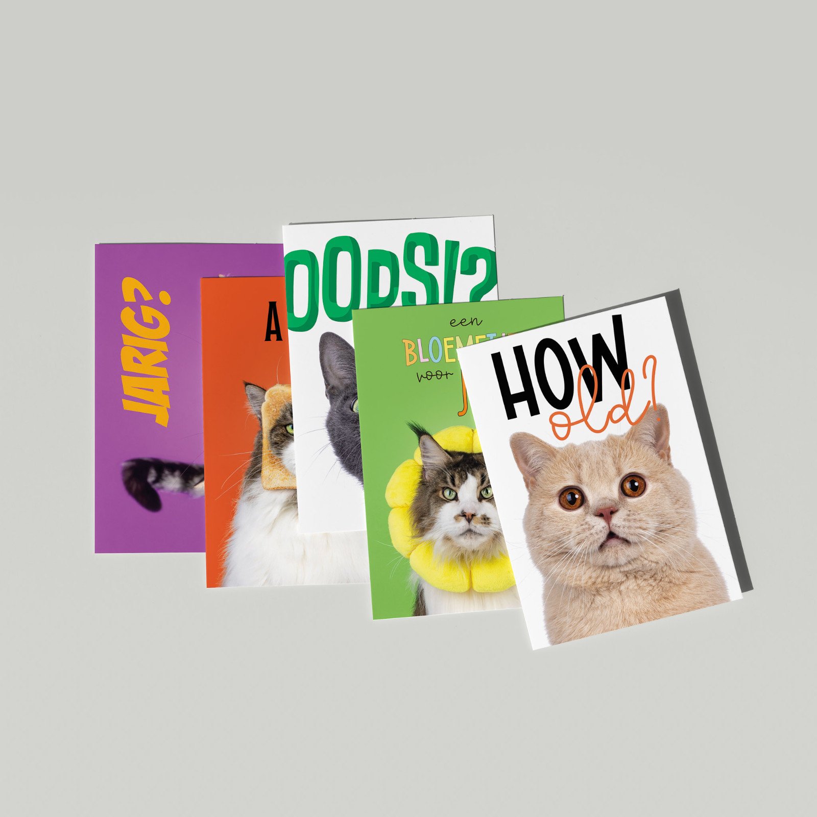 Set van 5 grote kaarten met katten - 67796.jpeg Set van 5 grote kaarten met katten