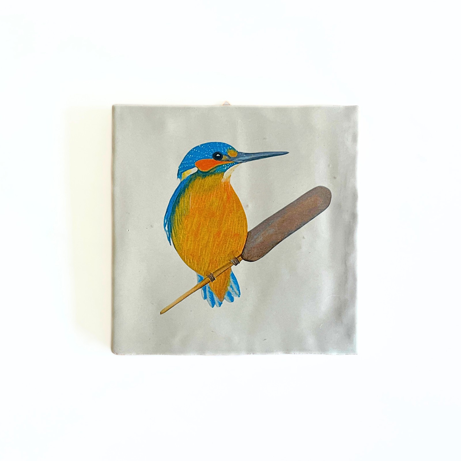 Tegeltje 'IJsvogel'