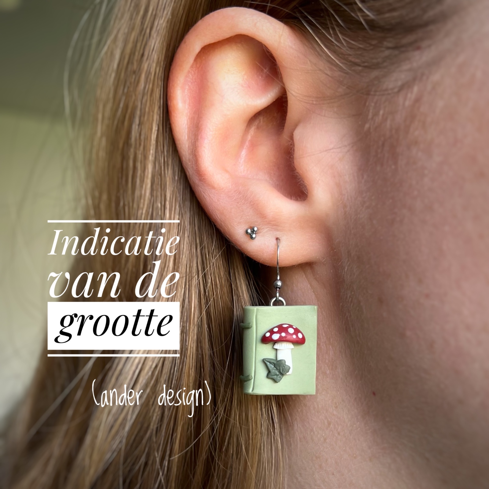 Boekjes oorbellen detective / mystery - 95042 Boekjes oorbellen detective / mystery