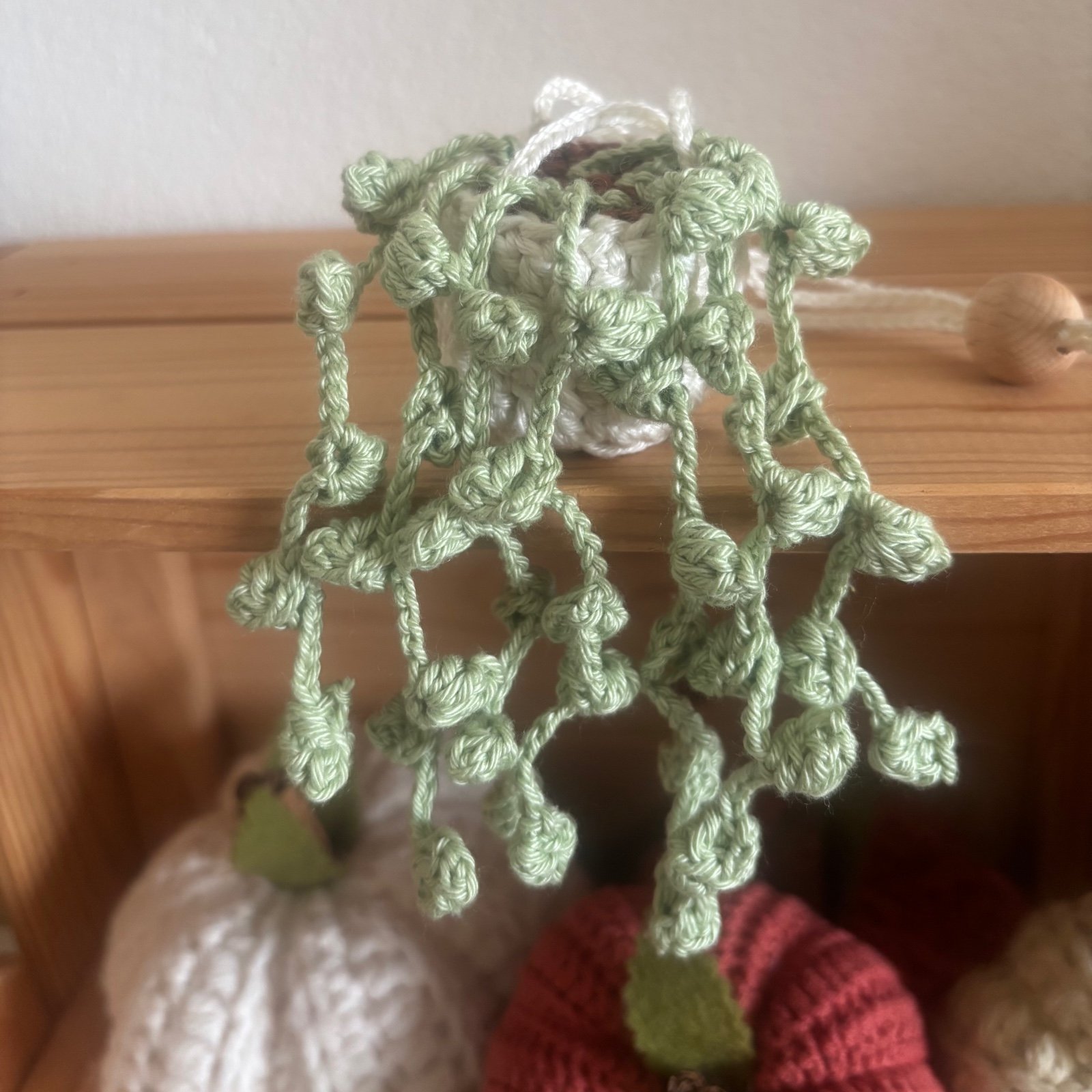 Handgemaakte hangplant 🌿 - 99951 Handgemaakte hangplant 🌿
