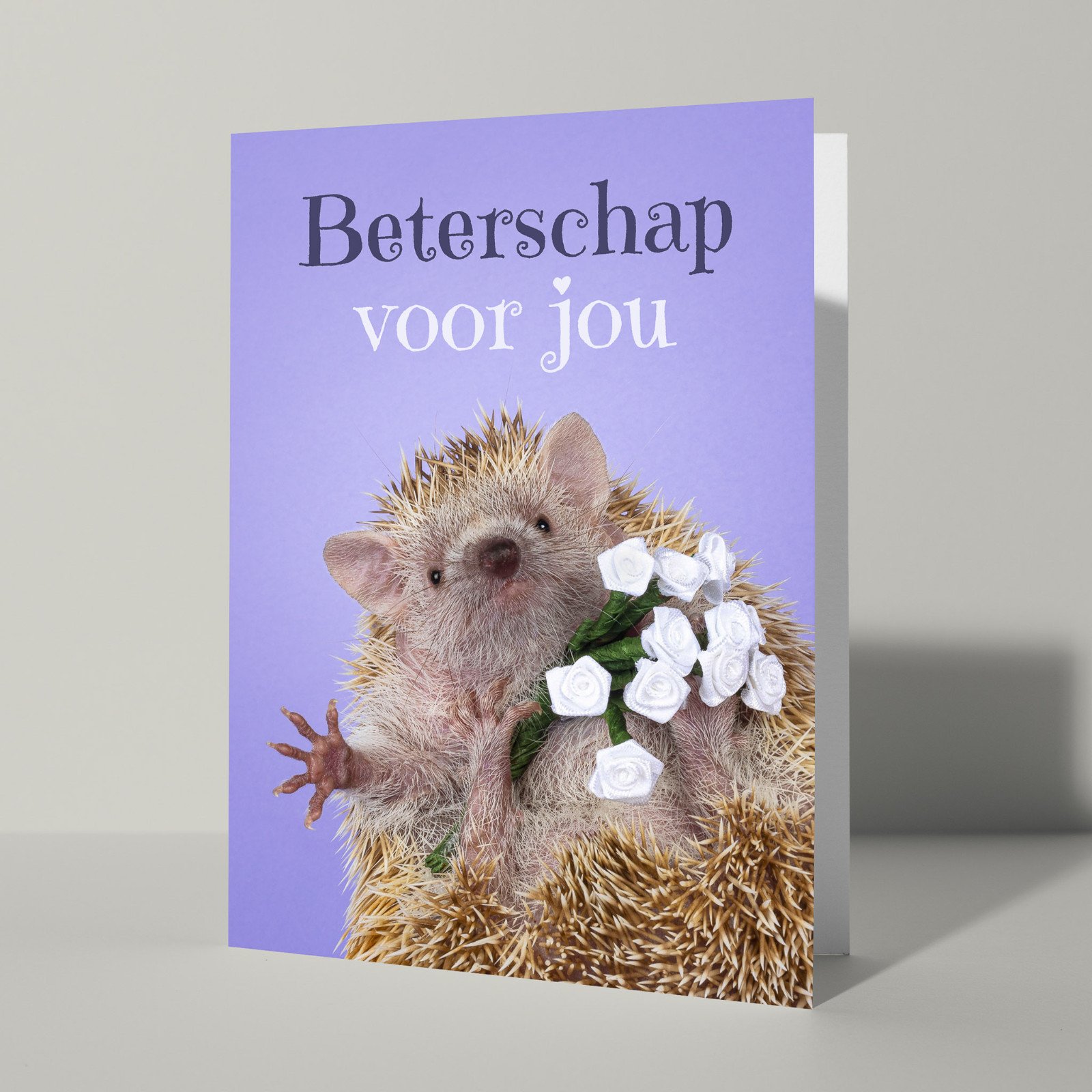 Beterschap kaart met tenrec - 102817 Beterschap kaart met tenrec