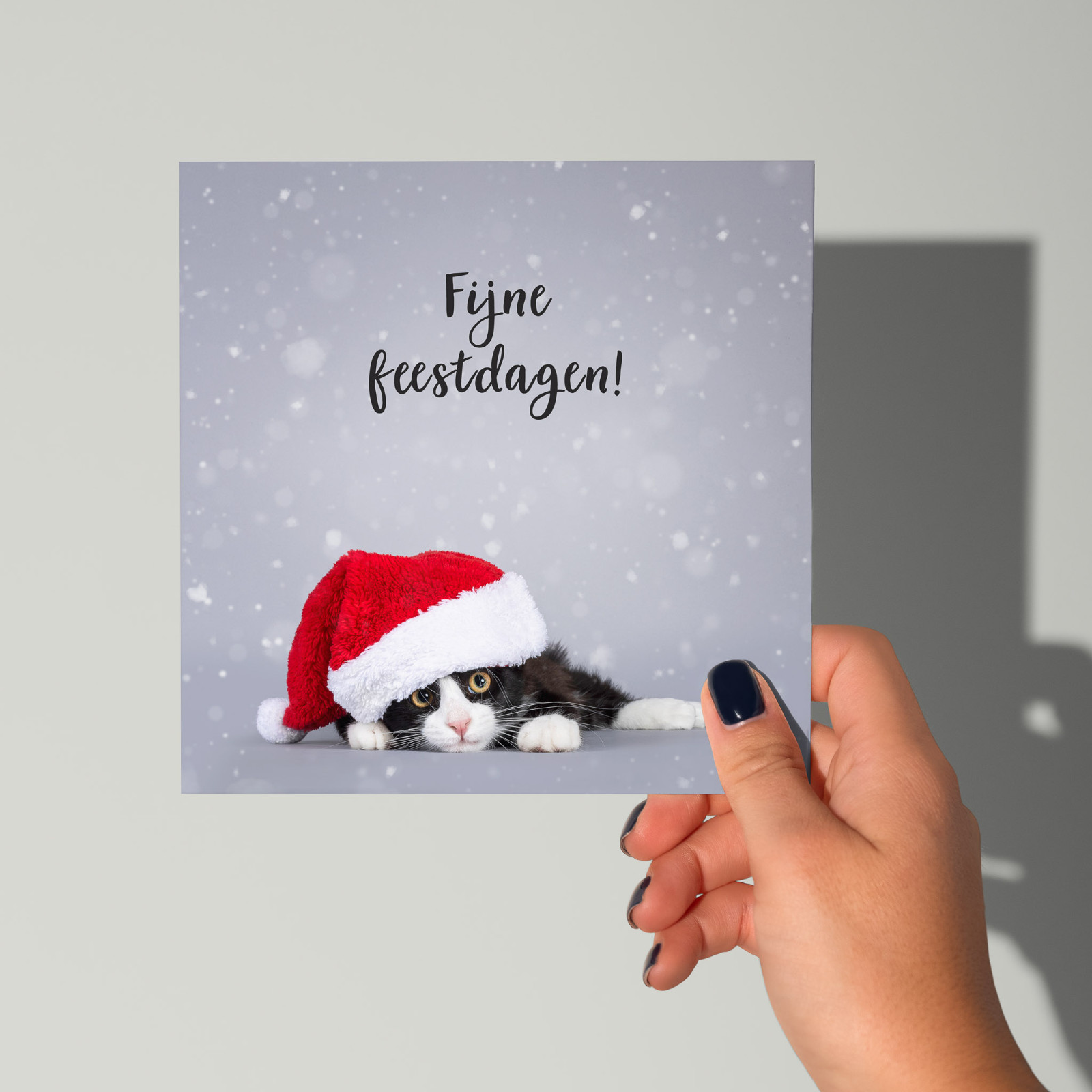 Fijne feestdagen kaart met poes - 103008 Fijne feestdagen kaart met poes