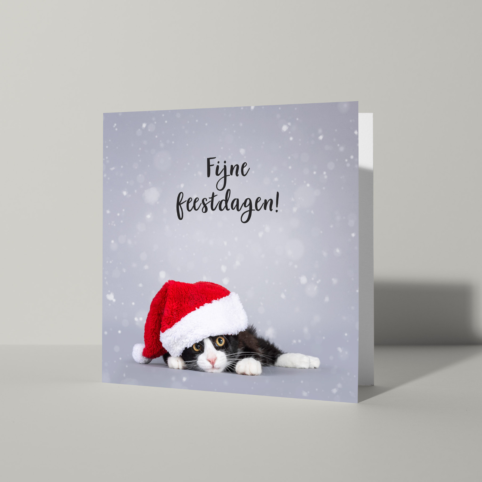 Fijne feestdagen kaart met poes - 103010 Fijne feestdagen kaart met poes