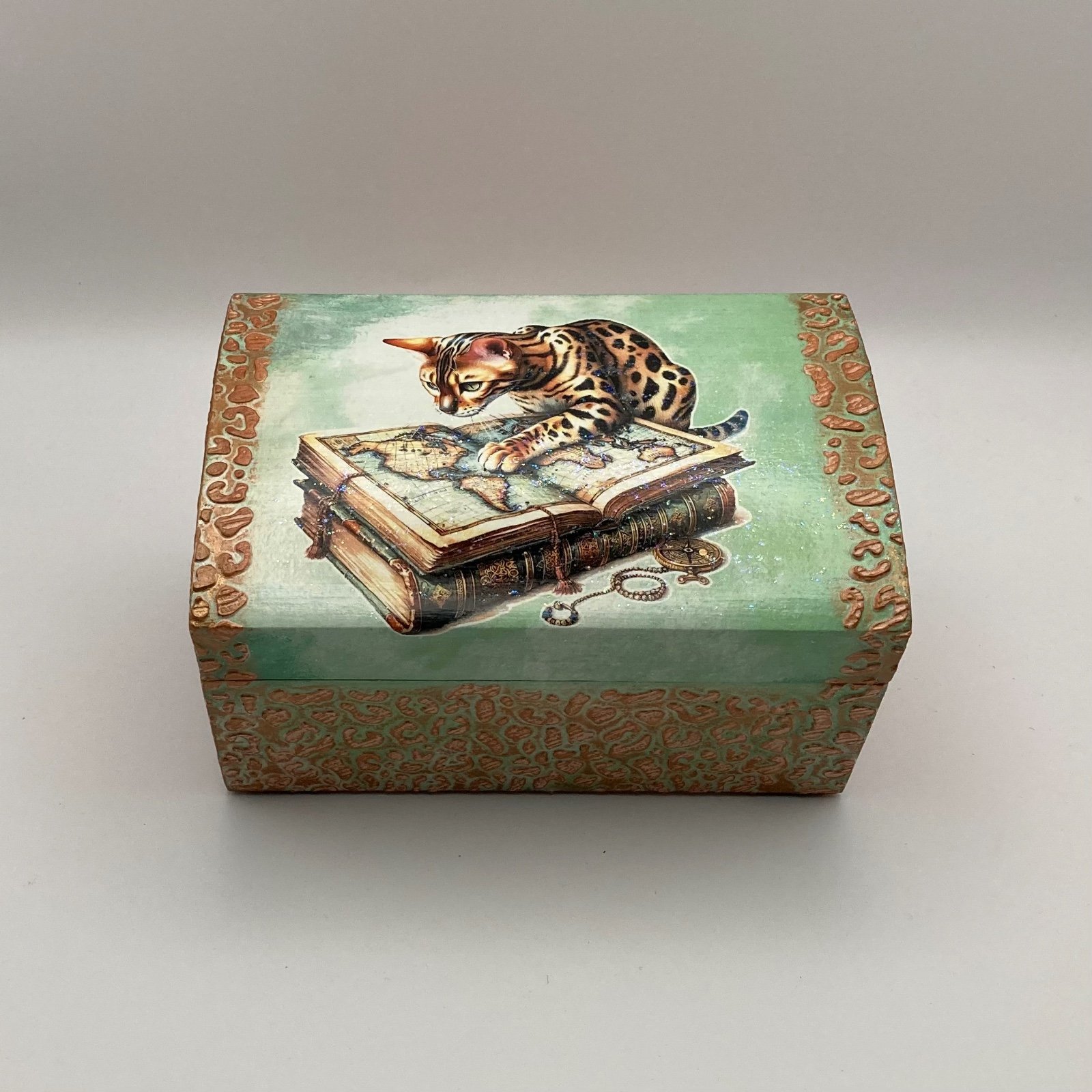 Handgedecoreerde sieradendoos ‘Meow Around The World’