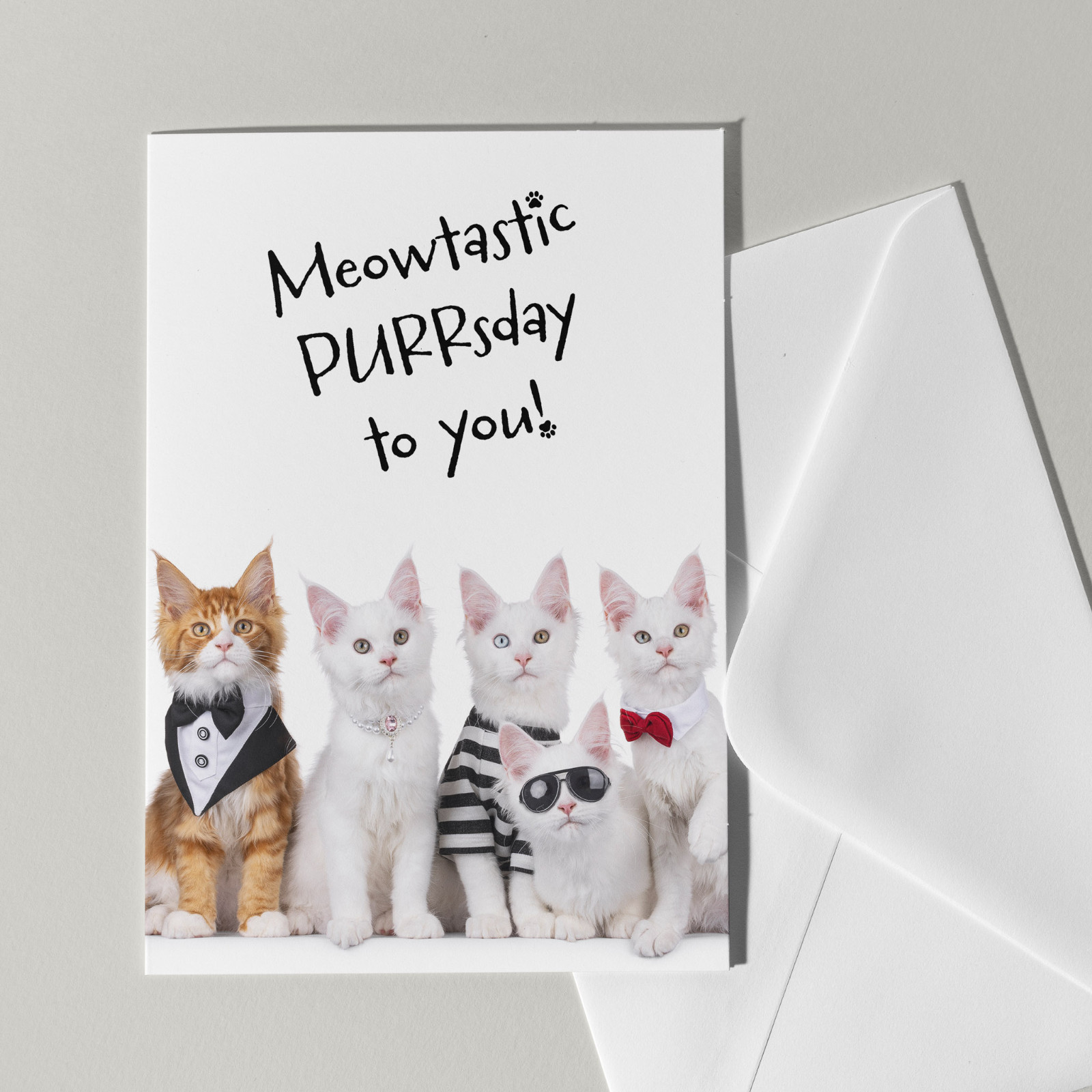 Happy Purrsday verjaardagskaart