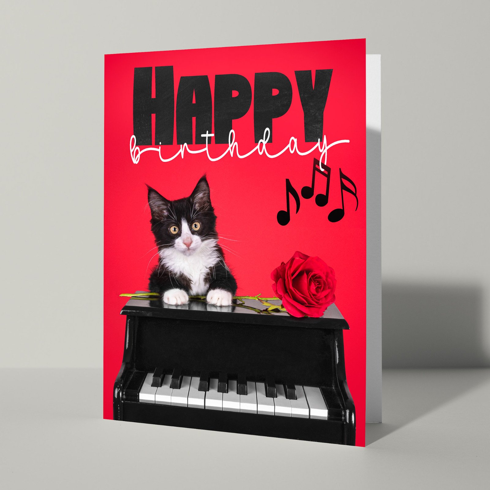 Kaartje Happy Birthday met kat - 102870 Kaartje Happy Birthday met kat