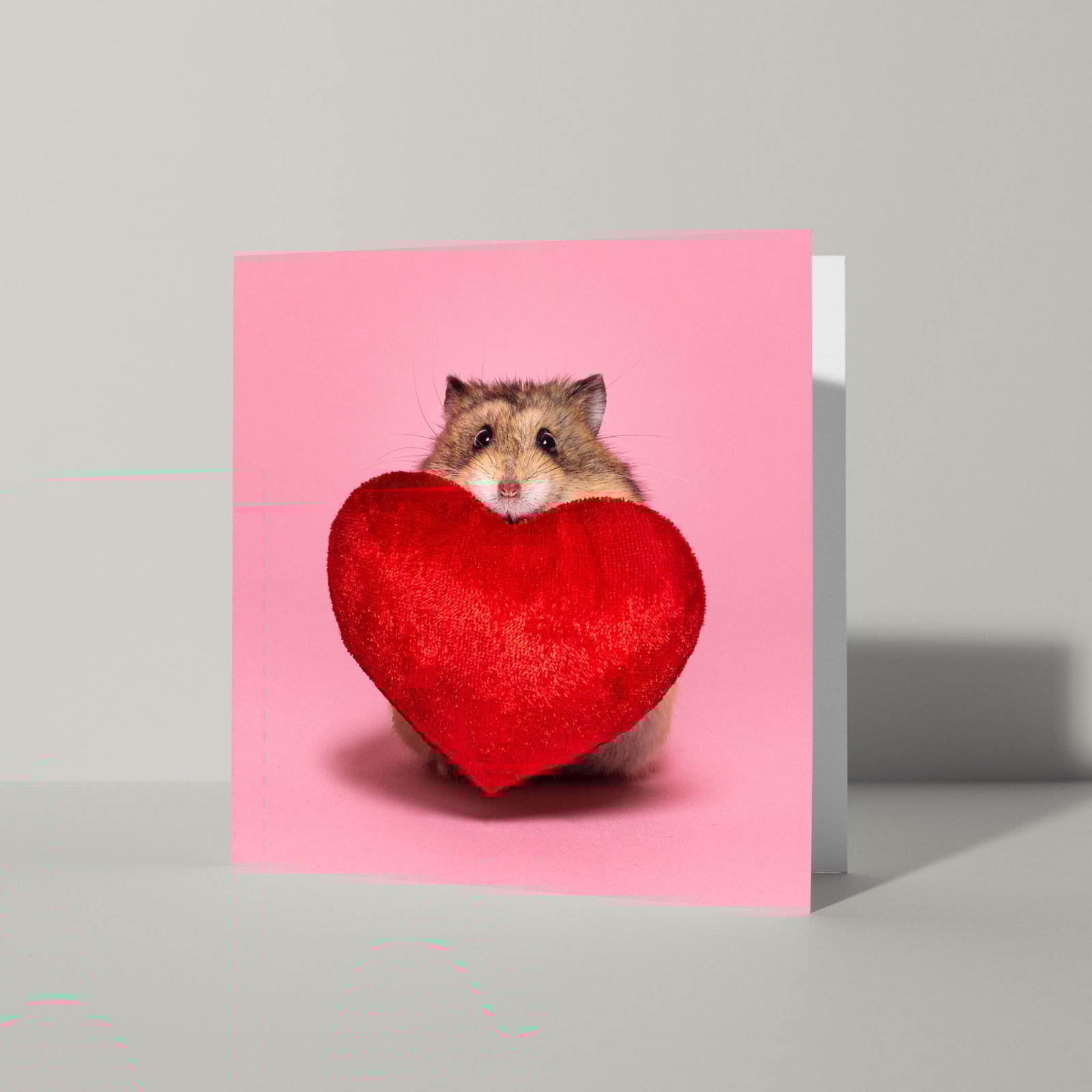 Lief beterschapskaartje met hamster