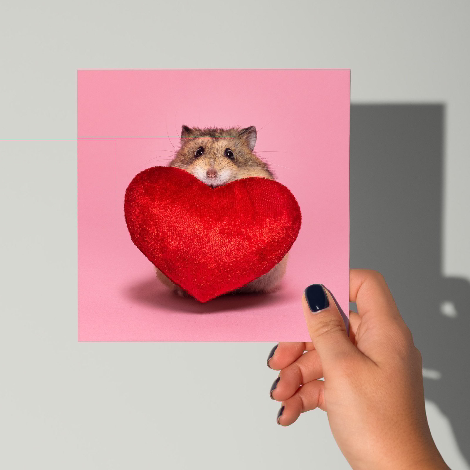 Lief beterschapskaartje met hamster