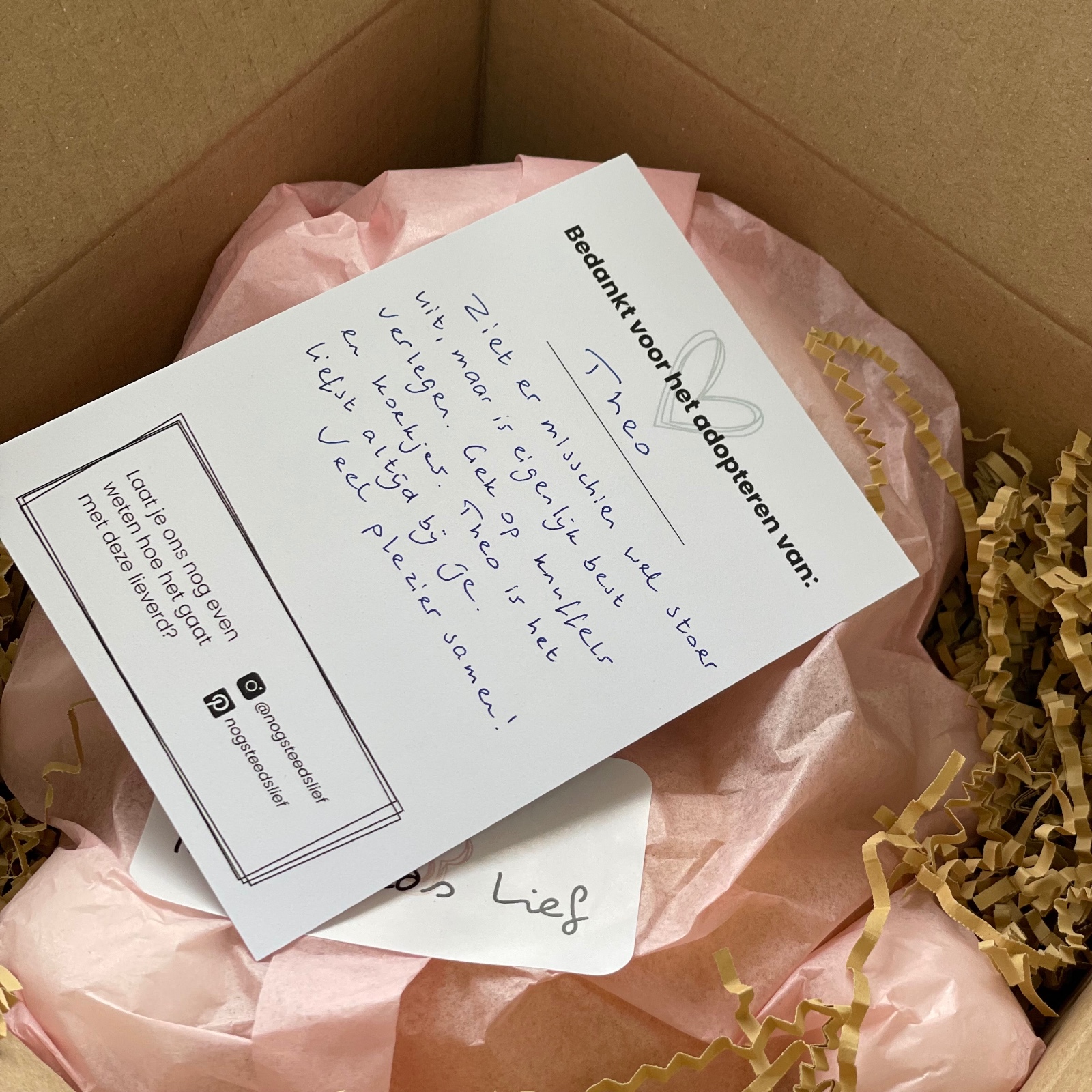 Pre-Loved knuffel Mocca teddybeer knuffeldier