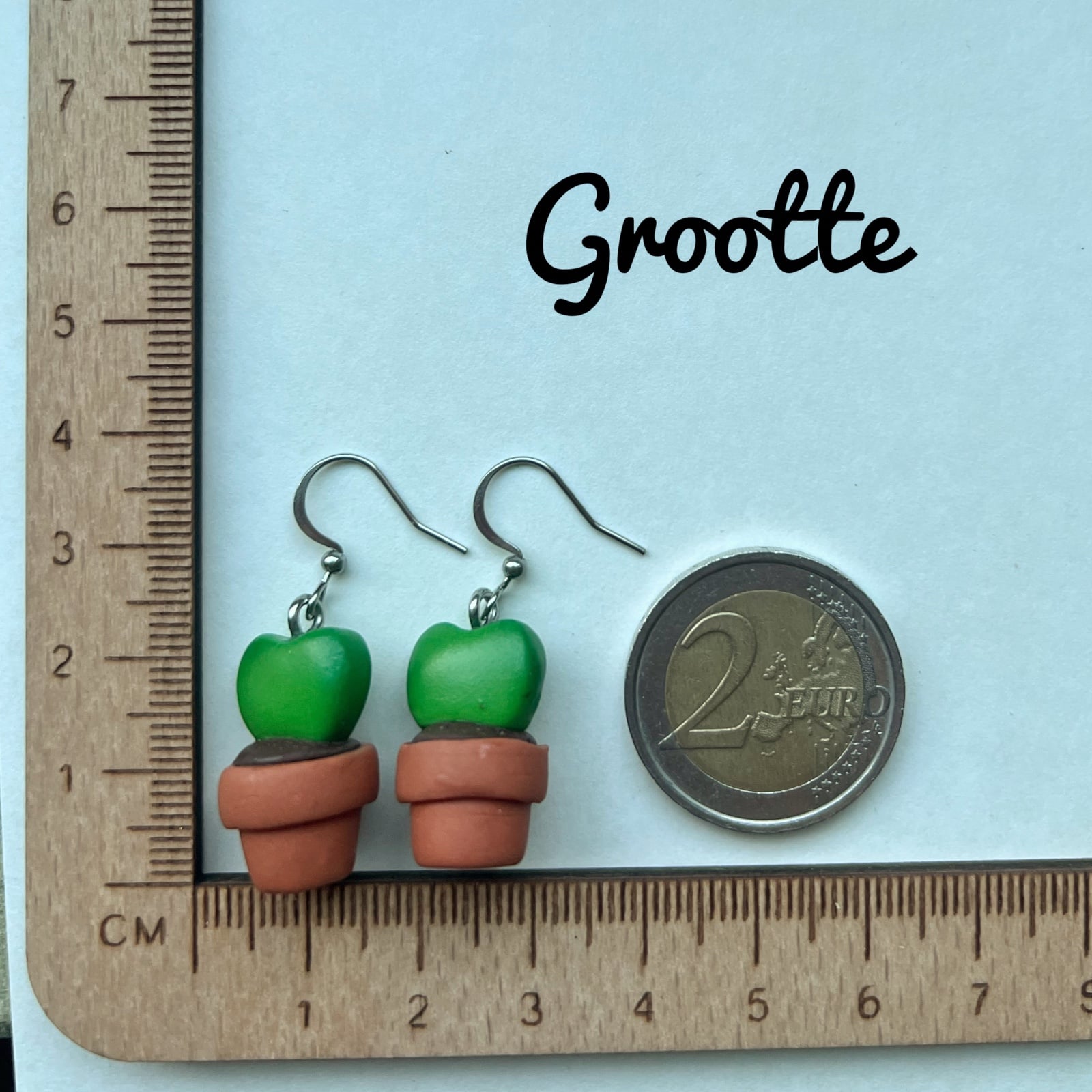 Hartjesplant oorbellen