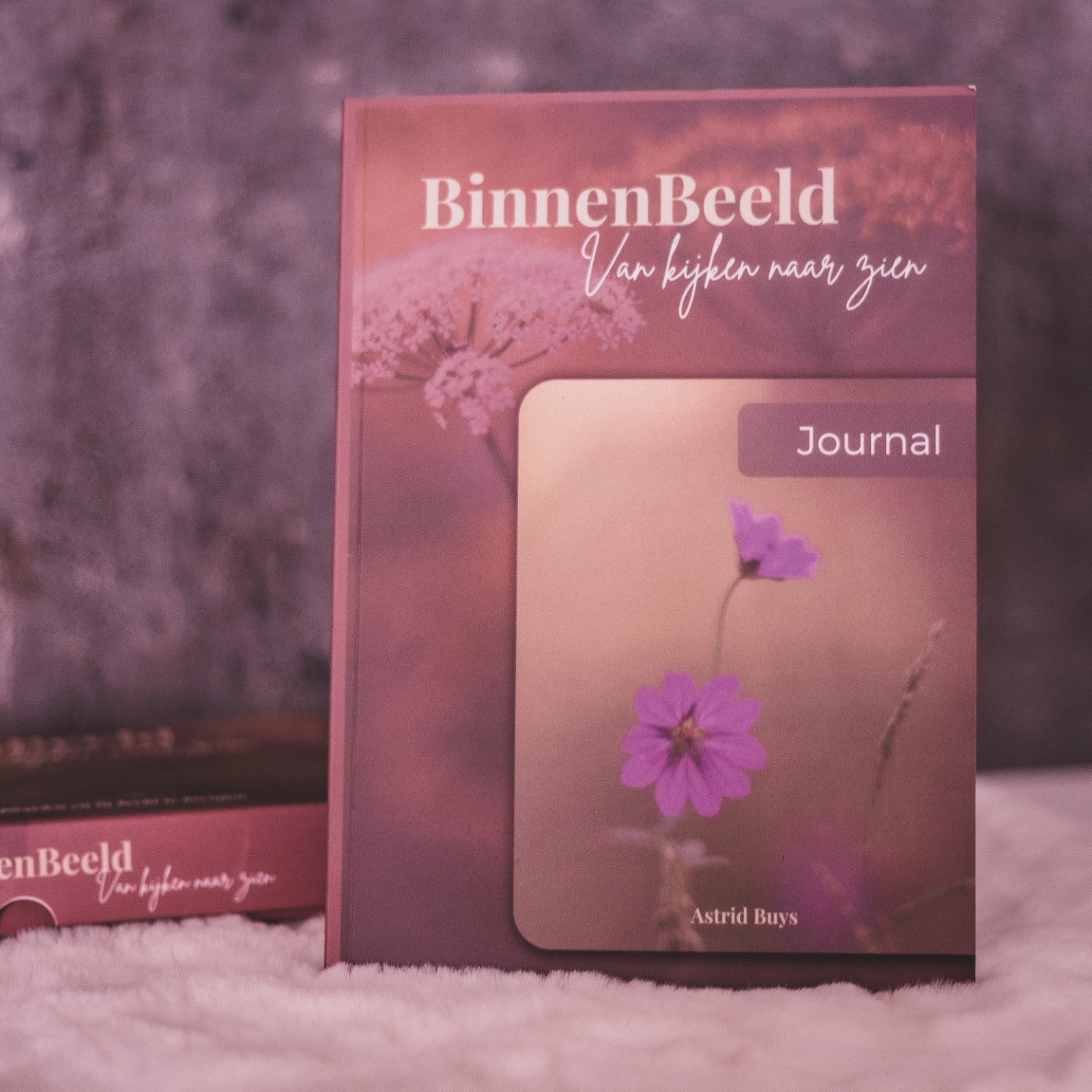 BinnenBeeld Journal - Schrijf, Voel & Groei