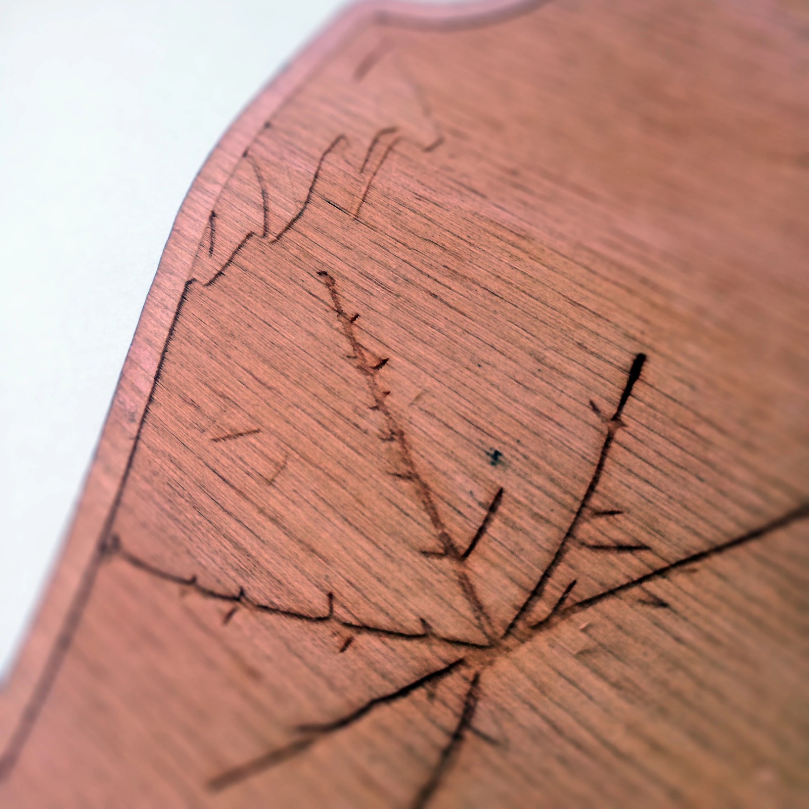 Decorative 'glow in the dark' Doe skull