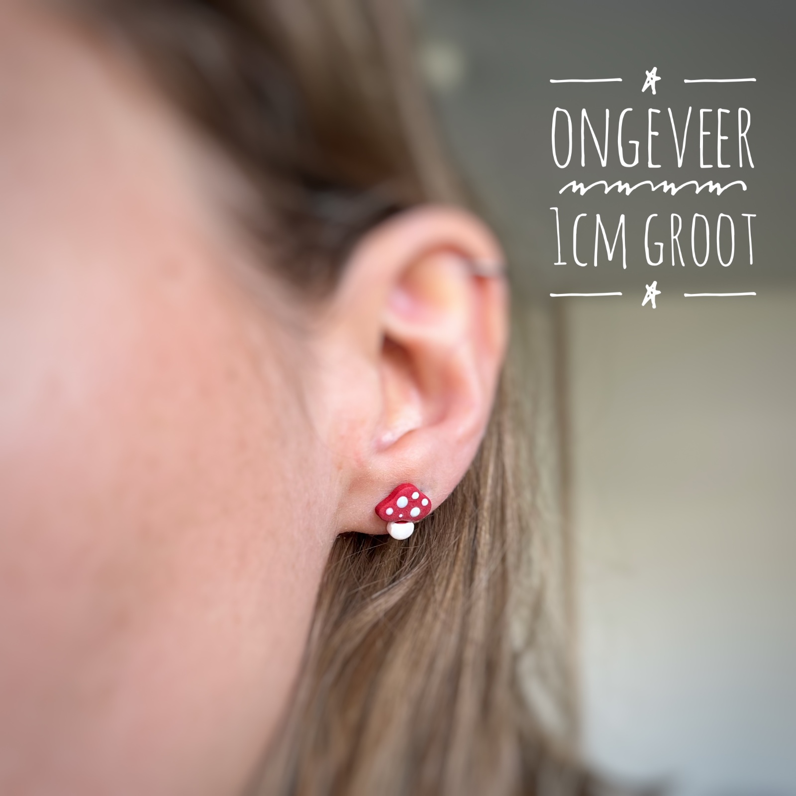 Herfst knopjes (1 paar)