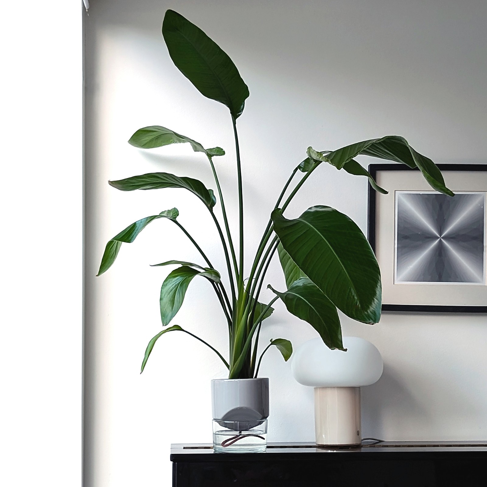 Kapi growing set: Small + Big flowerpot | Sleek gray