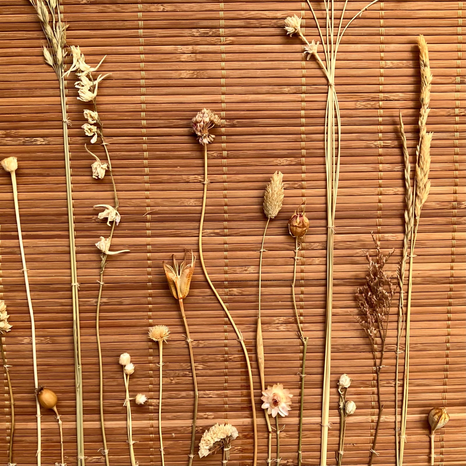 Bamboe Wandhanger naturel met gedroogde bloemen - Botanische Bamboe Kunst - Boho Natuurlijk - Geperste Bloemen