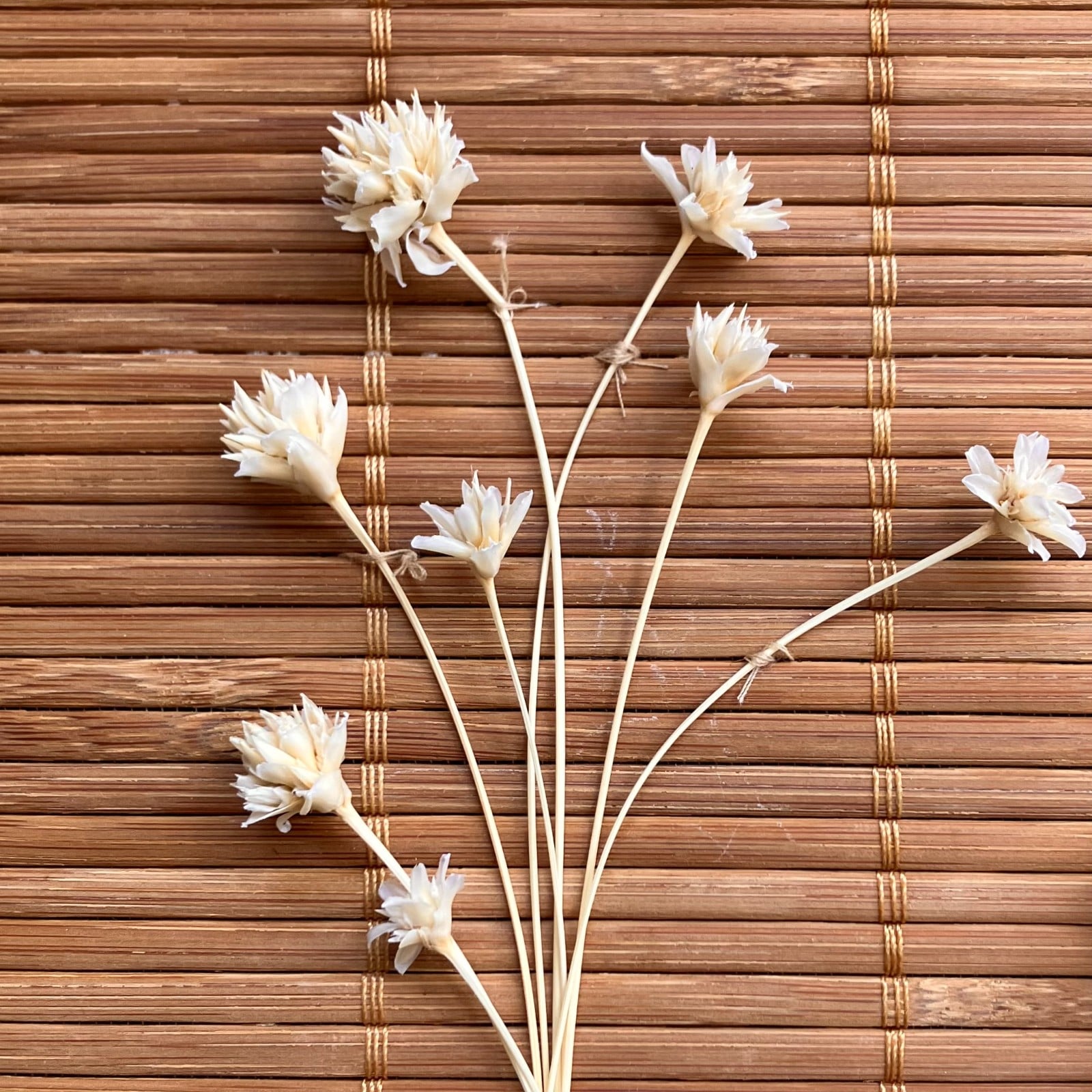 Bamboe Wandhanger naturel met gedroogde bloemen - Botanische Bamboe Kunst - Boho Natuurlijk - Geperste Bloemen