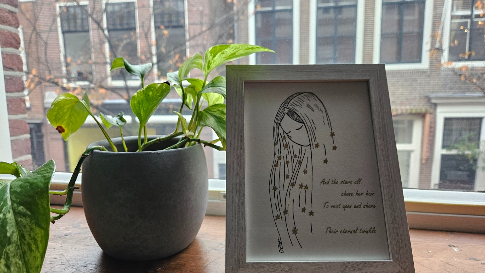 Stargirl - 58311.jpeg Stargirl