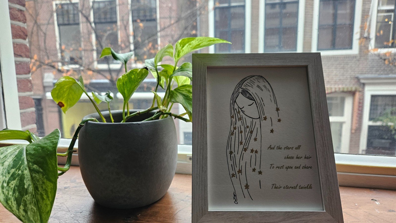 Stargirl - 58312.jpeg Stargirl