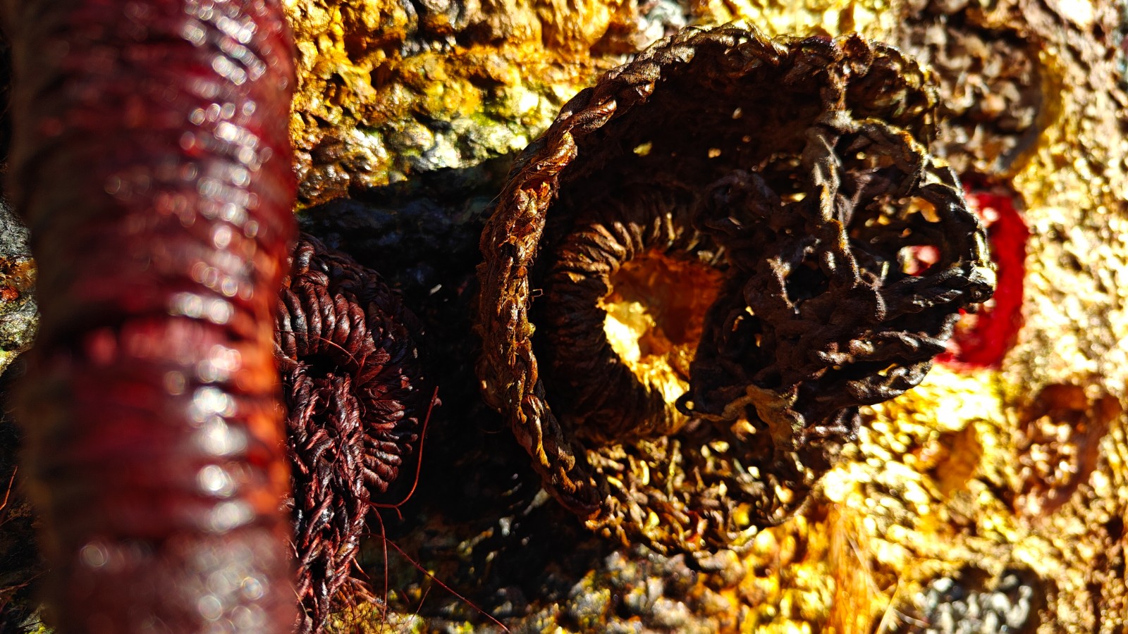 gebreide krant werkstuk.