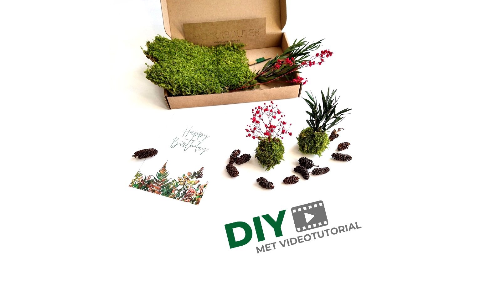 Mini Kokedama Do It Yourself KIT