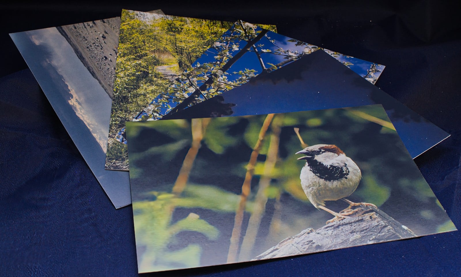 Ansichtkaart set van 5 designs