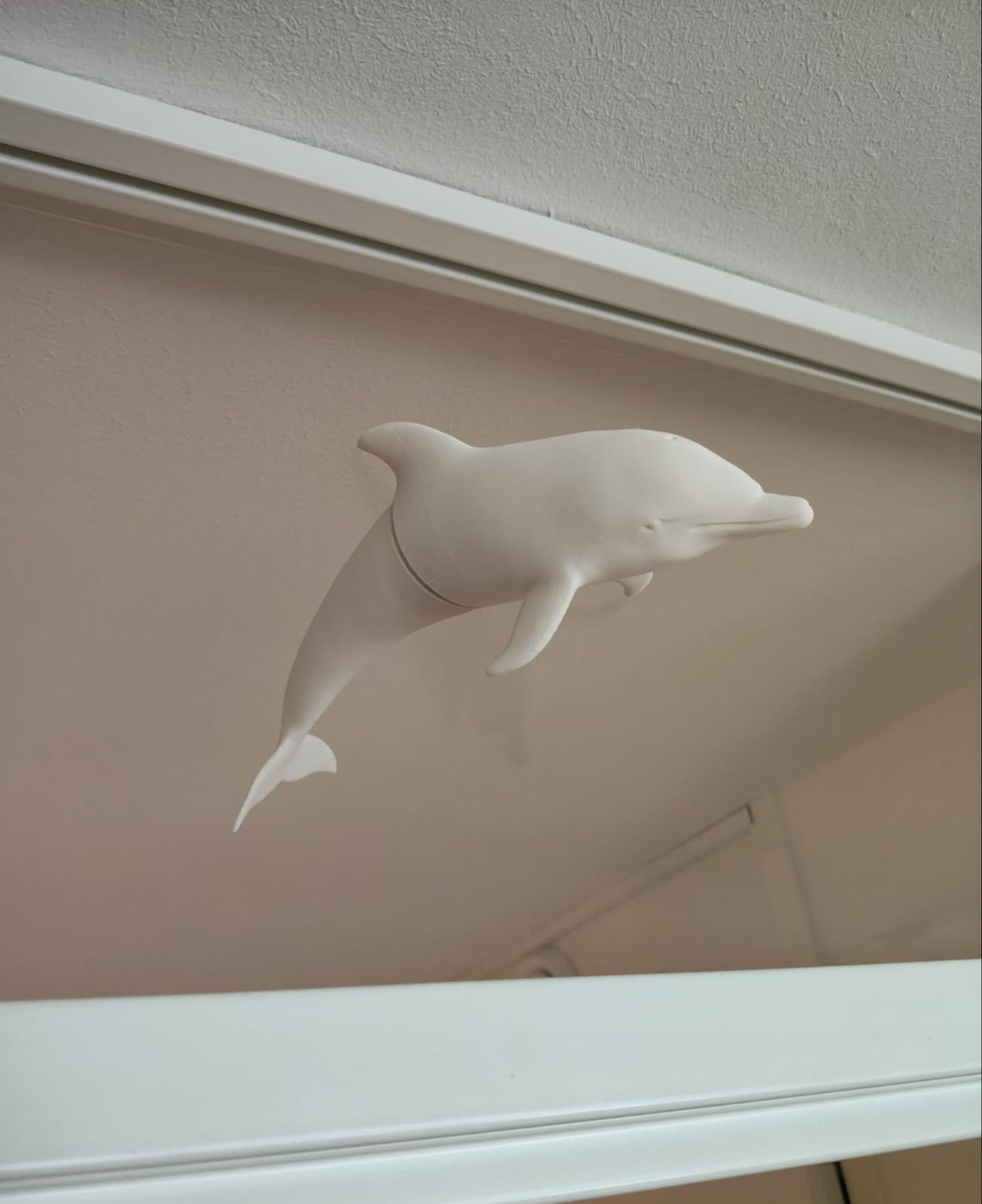 White dolphin window art
