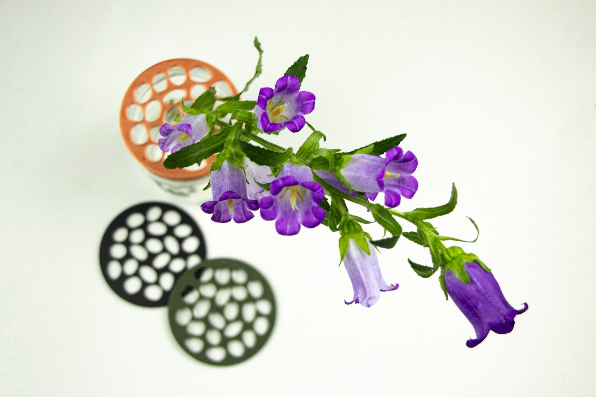 Waterdruppels bloemschikker  | Bloemhouder | Bloemboeket accessoire