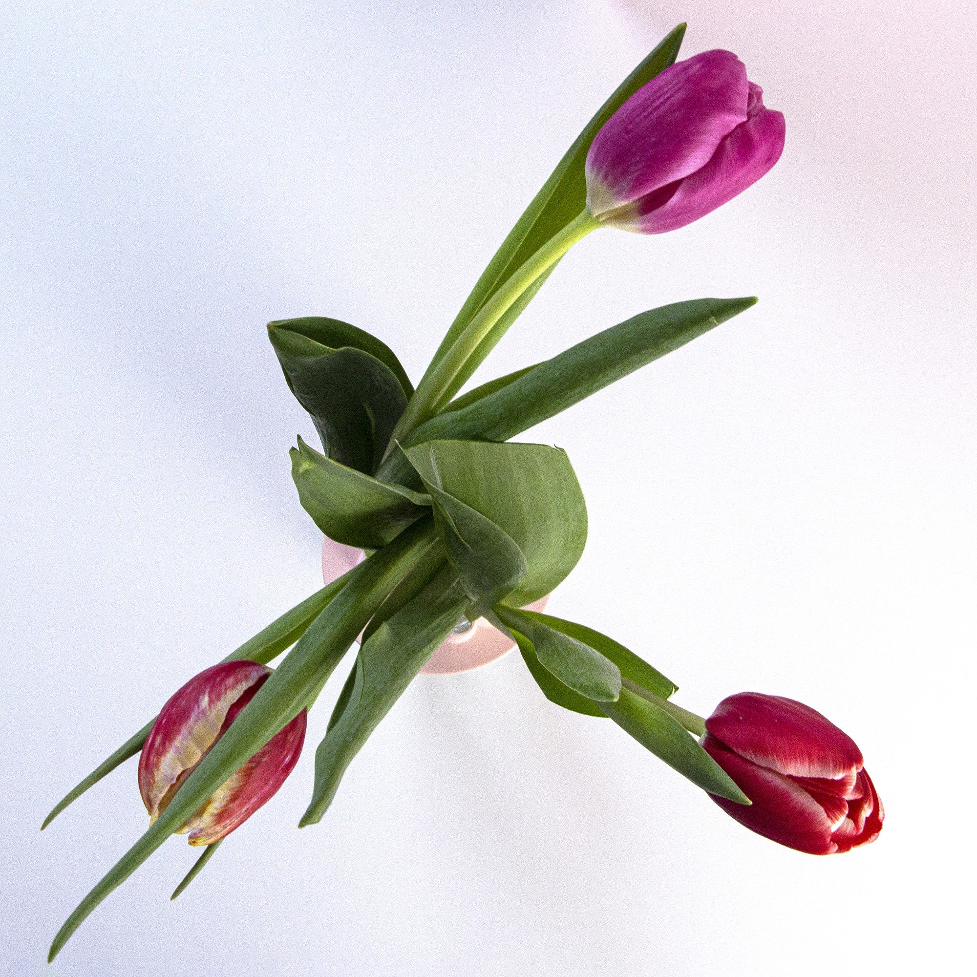 Klein hart tulpenvaas deksel  | Tulpenvaas accessoire | Bloemhouder - 15226 Klein hart tulpenvaas deksel  | Tulpenvaas accessoire | Bloemhouder