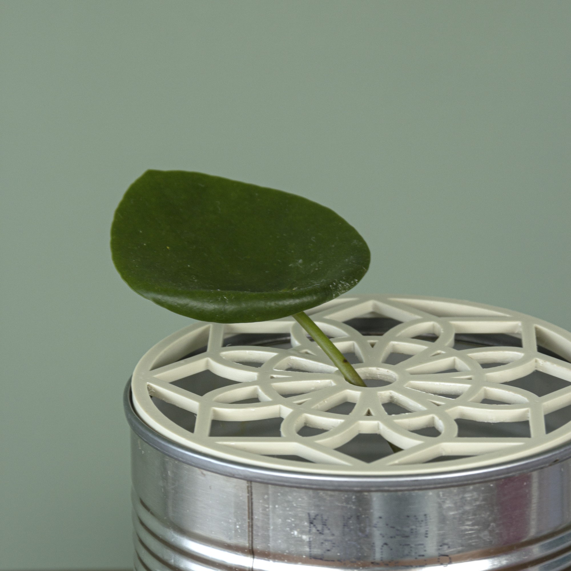 Mandala bloemschikker  | Bloemhouder | Bloemboeket accessoire