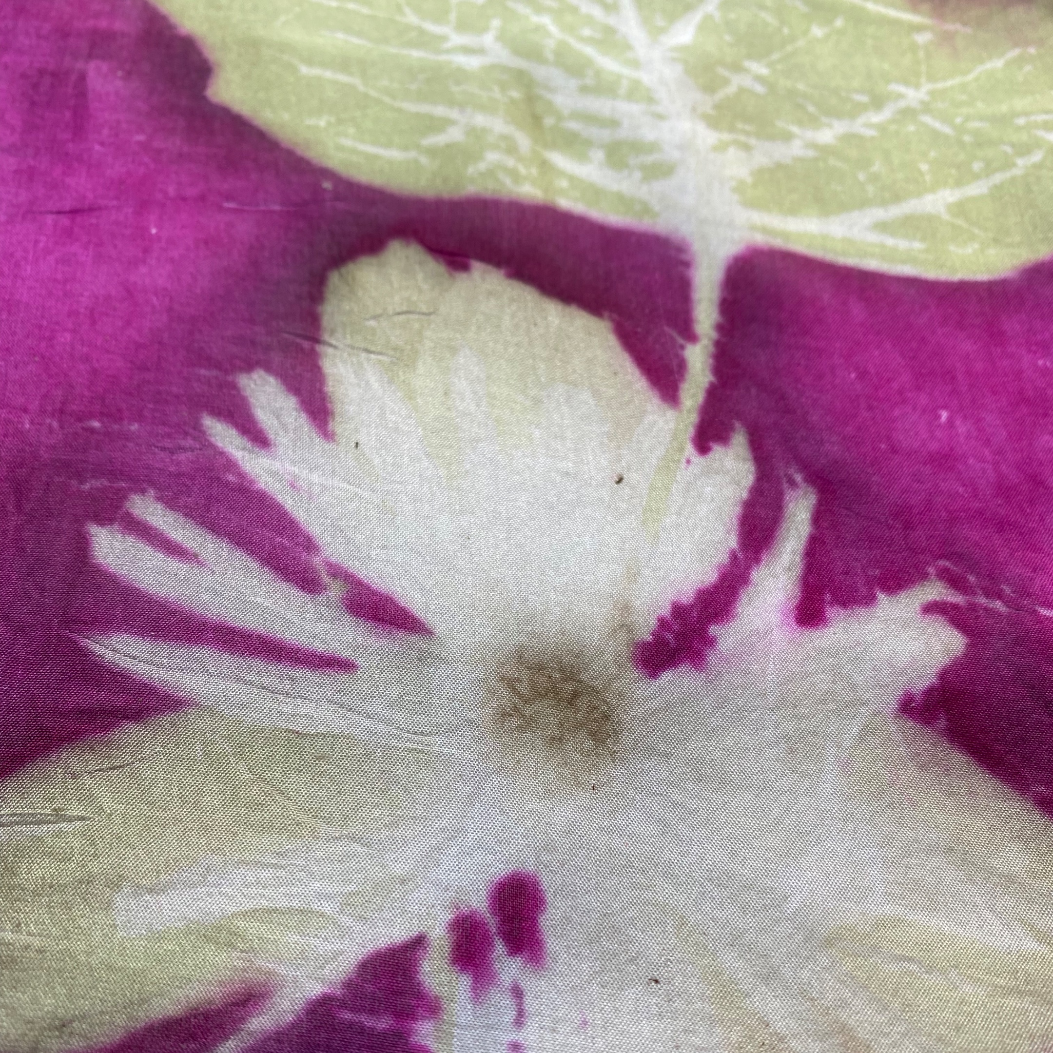 Cadeaubon Silky Leaves – een persoonlijk en uniek cadeau