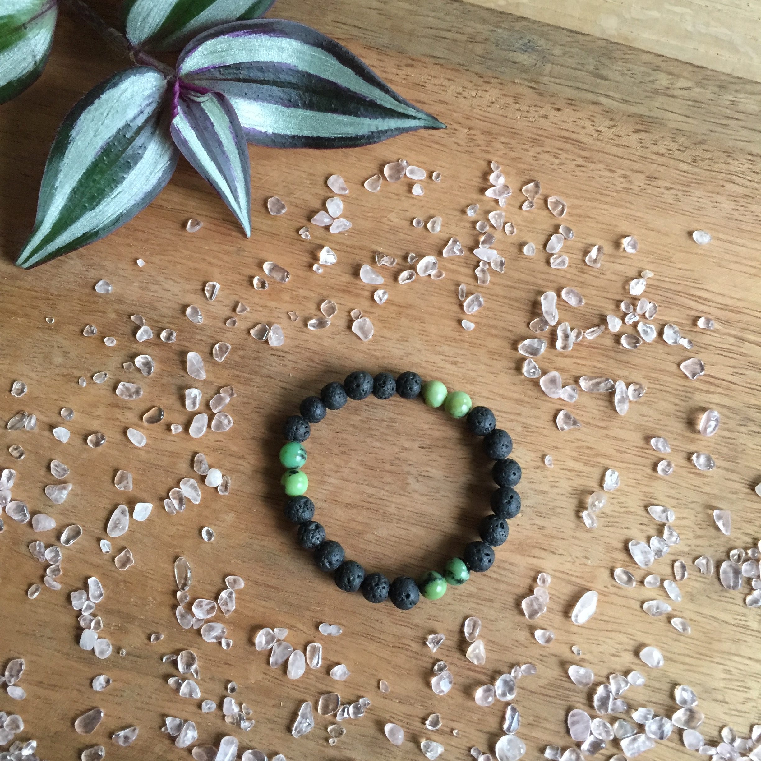 Afrikaanse Turkoois - kids