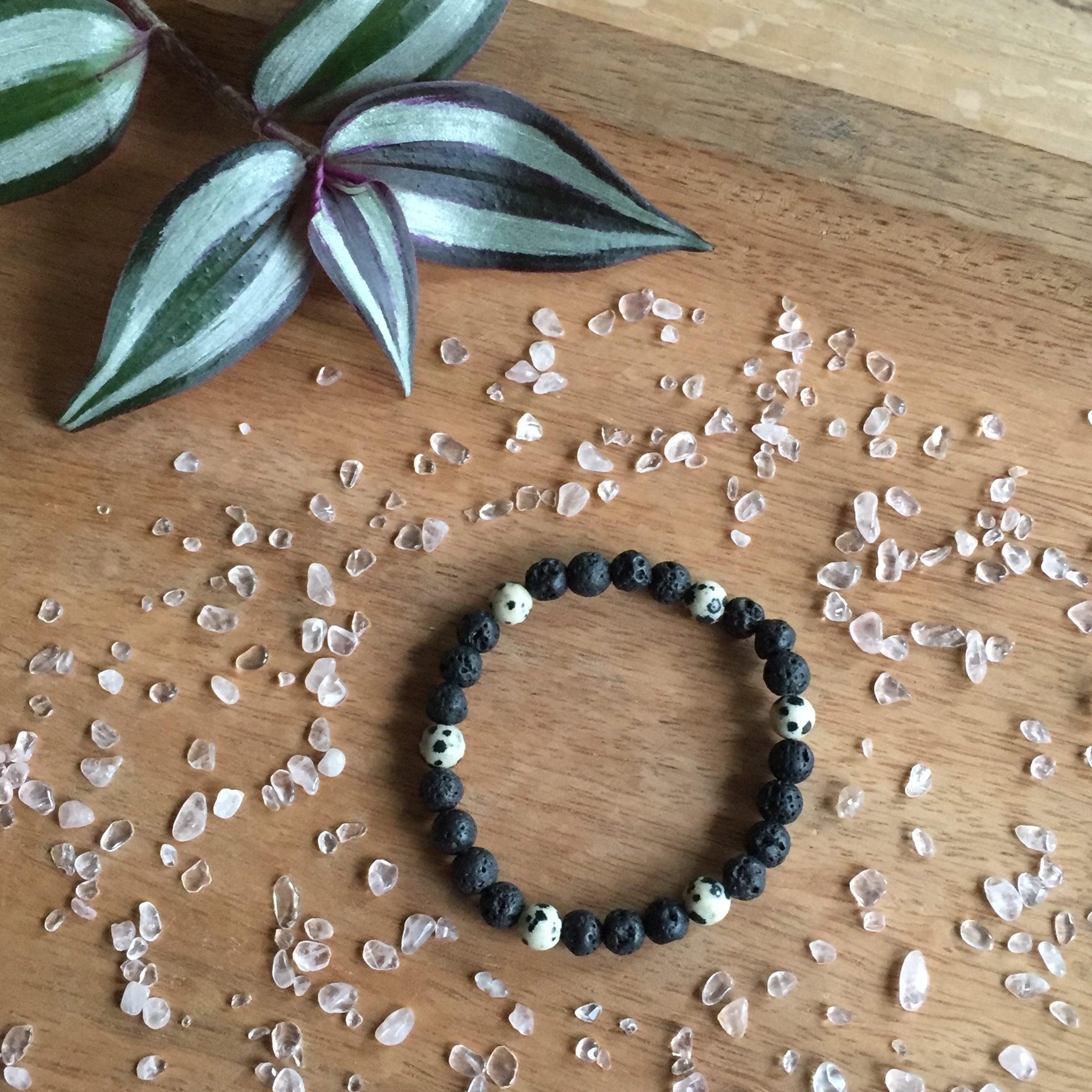 Dalmatiër Jaspis - kids - 1740 Dalmatiër Jaspis - kids