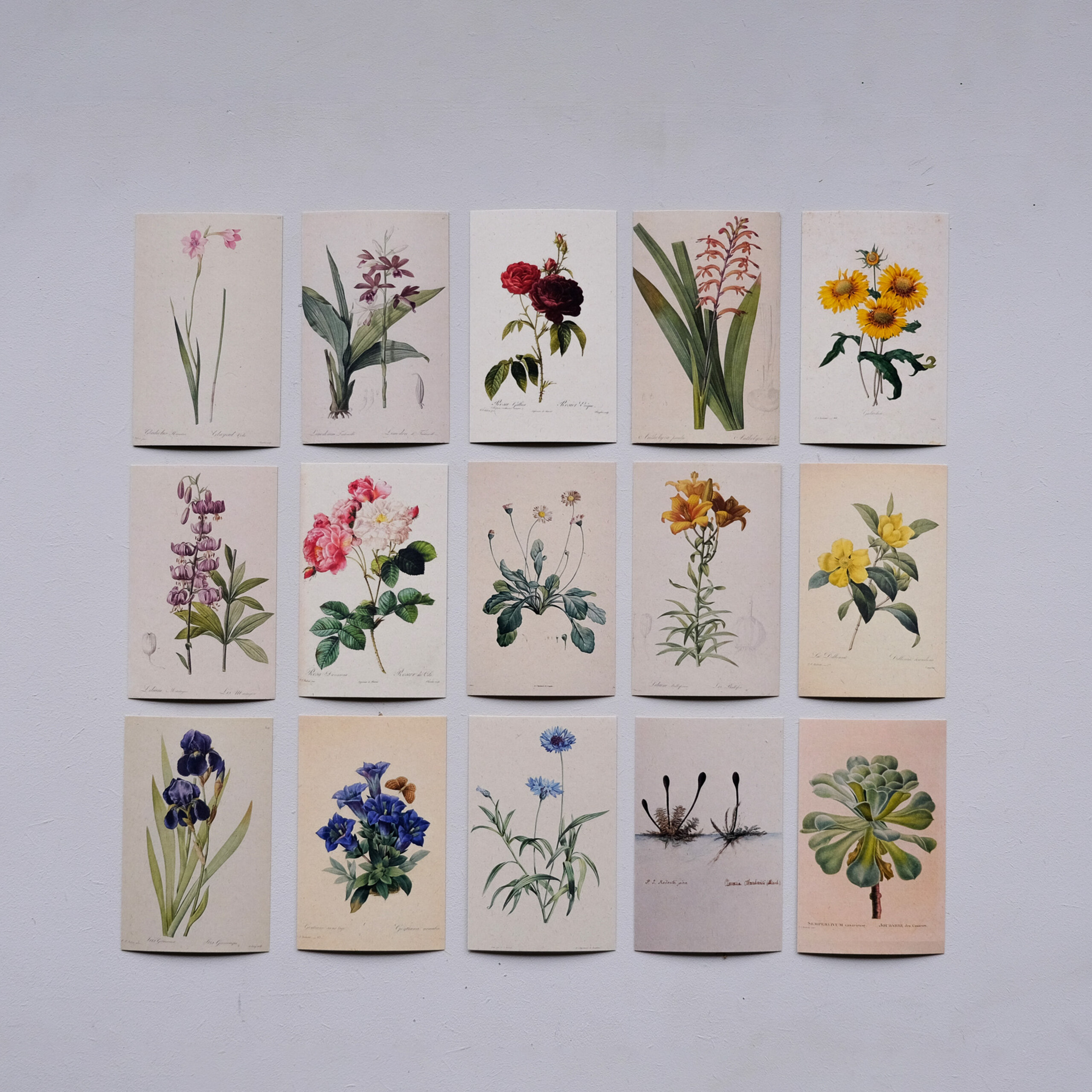 Groen Mos DIY Weefpakket Groot - 21435.jpeg Groen Mos DIY Weefpakket Groot