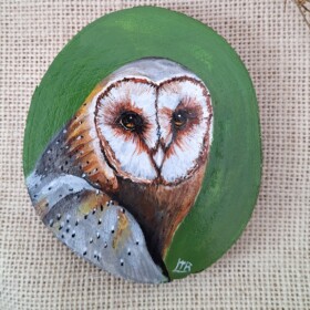 Uiltje op houtschijf