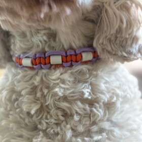 Anti-tekenband oranje paars