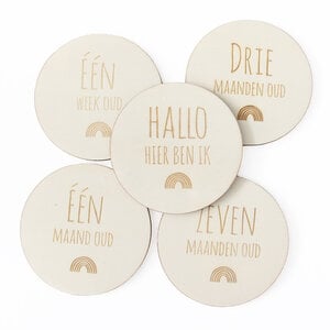 Mijlpaalschijven Baby