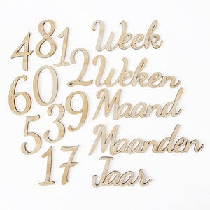 Mijlpaal woorden set