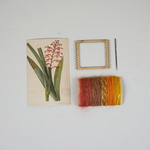 Oranje Antholyza DIY Weefpakket Klein