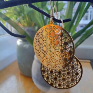 Oorbellen filligraan rond goud of zilver