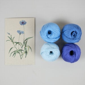 Blauw Korenbloem DIY Weefpakket Groot