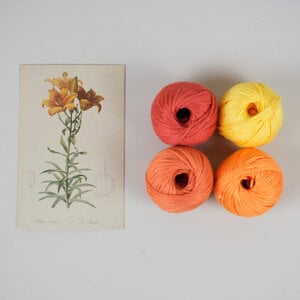 Oranje Turkse Lelie DIY Weefpakket Groot