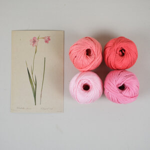 Roze Gladiool DIY Weefpakket Groot