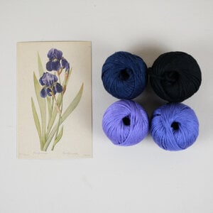 Paars Iris DIY Weefpakket Groot
