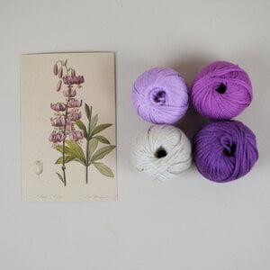 Paars Turkse Lelie DIY Weefpakket Groot