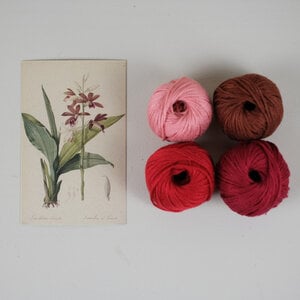 Rood Orchidee DIY Weefpakket Groot