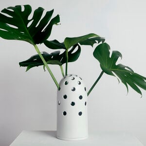 Fly's Eye Vase Big - White & White Rim