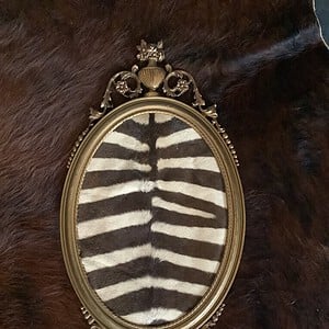 Zebrahuid in kader