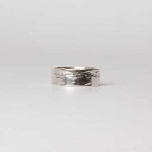 Ring - let's get hammered - zilver