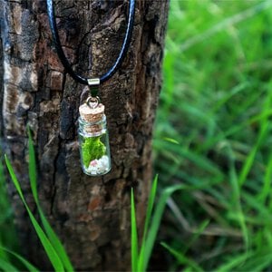Mosterrarium Ketting